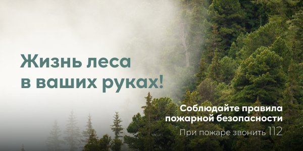 ����� ���� � ����� �����