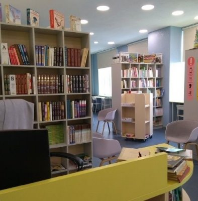 Педагог-библиотекарь школы 109 признана лучшей в Челябинской области