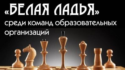 Городские соревнования по шахматам «Белая ладья»