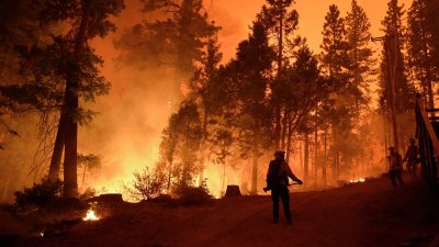 Правила поведения населения при обнаружении ландшафтных и лесных пожаров