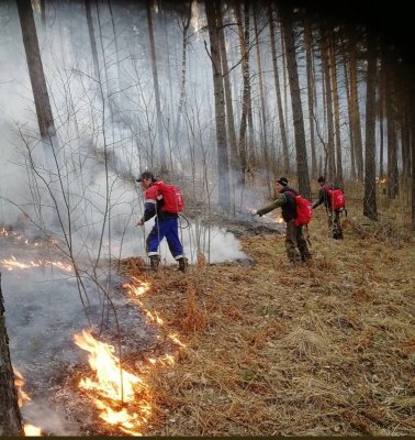 Главное управление лесами Челябинской области напоминает о соблюдении правил пожарной безопасности в лесу