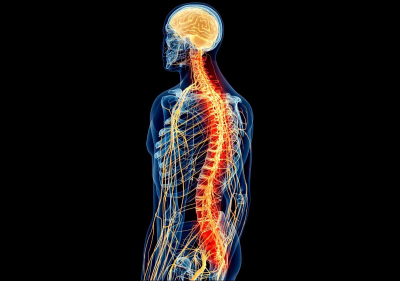 В РФ создали препарат со стволовыми клетками для лечения травмы спинного мозга