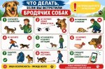 ��� ������ ���� �� ��������� �������� �����